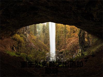赵殳岩精彩小说-重生公务员之出道即巅峰全章节免费阅读