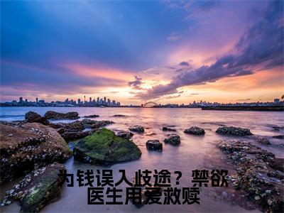 为钱误入歧途？禁欲医生用爱救赎( 时凛林棉)全文免费阅读无弹窗大结局_( 时凛林棉小说全文免费阅读)为钱误入歧途？禁欲医生用爱救赎小说全文无弹窗最新章节列表_笔趣阁（ 时凛林棉）
