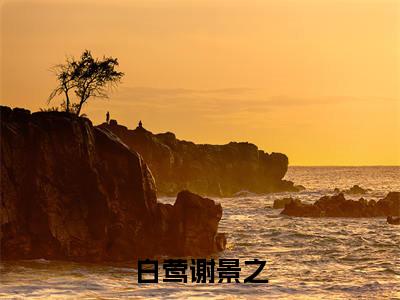 谢景之白莺全文免费阅读无弹窗大结局_(白莺谢景之小说)谢景之白莺最新章节列表笔趣阁(白莺谢景之)
