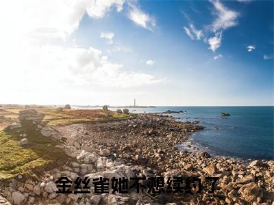 沈星冉时晏(金丝雀她不想续约了)小说推荐精彩章节全文阅读-热门小说金丝雀她不想续约了(沈星冉时晏)精选章节阅读