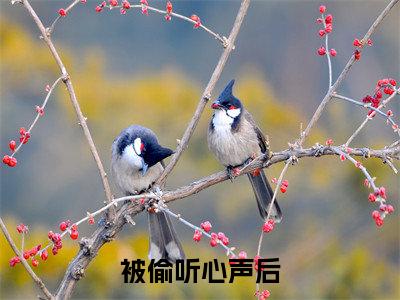 被偷听心声后，我成团宠了（ 江厌离帝辛）全文免费阅读无弹窗_（ 江厌离帝辛小说全文免费阅读）被偷听心声后，我成团宠了最新章节列表笔趣阁（ 江厌离帝辛）