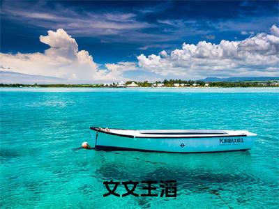 文文王滔免费阅读-（文文王滔）全文免费阅读无弹窗大结局（王滔文文）最新章节列表_笔趣阁