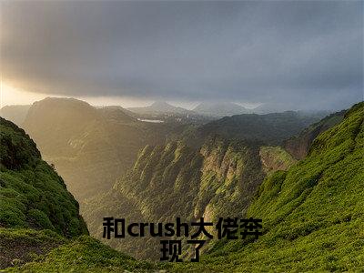 小说（和crush大佬奔现了）夏婉莹陈子韩全文免费阅读无弹窗-夏婉莹陈子韩小说全文在线赏析(今日更新最新章节)