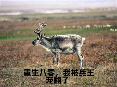 重生八零，我被兵王宠翻了 （许慧陆启贤）全文免费阅读无弹窗大结局_(重生八零，我被兵王宠翻了 阅读全文大结局)许慧陆启贤最新章节列表（许慧陆启贤）