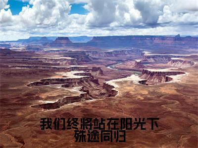 沈岁安韩云峥(我们终将站在阳光下殊途同归)全文免费阅读_沈岁安韩云峥小说最新章节列表笔趣阁