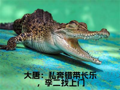 大唐:私奔错带长乐,李二找上门(秦淮)全文免费阅读无弹窗完整版,(大唐:私奔错带长乐,李二找上门)免费阅读全文最新章节列表_笔趣阁