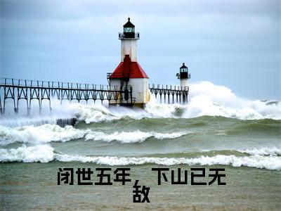 闭世五年，下山已无敌（叶秋）全文免费阅读无弹窗大结局_叶秋小说免费最新章节列表_笔趣阁