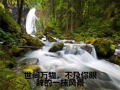 世间万物，不及你眼眸的一抹风景唐佳月顾轻北全文免费阅读_世间万物，不及你眼眸的一抹风景无弹窗最新章节