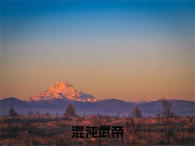 小说混沌武帝(苏尘)免费阅读-小说混沌武帝全文在线赏析