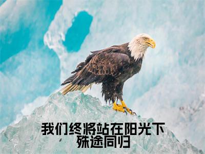 沈岁安韩云峥(我们终将站在阳光下殊途同归)全文免费阅读无弹窗大结局_我们终将站在阳光下殊途同归(沈岁安韩云峥无弹窗)_笔趣阁