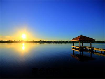 夏今棉陆璟玉小说(陆璟玉夏今棉)全文免费阅读无弹窗大结局_(夏今棉陆璟玉小说免费阅读)陆璟玉夏今棉无弹窗最新章节列表_笔趣阁(陆璟玉夏今棉)
