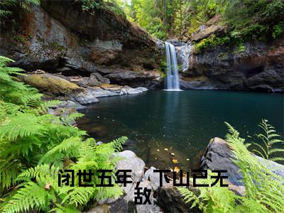 闭世五年,下山已无敌小说全文免费阅读-(叶秋)抖音新书热荐闭世五年,下山已无敌全文免费阅读