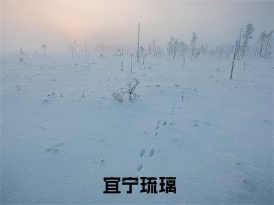  宜宁琉璃（王爷别虐了，花魁她已有夫君了）全文免费阅读无弹窗大结局_（ 宜宁琉璃）王爷别虐了，花魁她已有夫君了章节列表