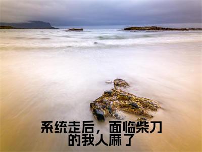 2023年精选热门系统走后,面临柴刀的我人麻了全文无删减版在线阅读