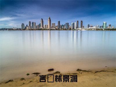 林景渊言婈小说免费阅读（林景渊言婈）全文免费阅读无弹窗大结局_言婈林景渊小说免费阅读最新章节列表_笔趣阁（言婈林景渊）