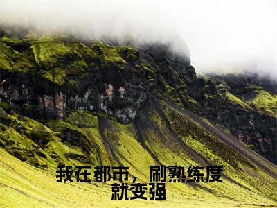 我在都市，刷熟练度就变强（王权）全文免费阅读无弹窗大结局_我在都市，刷熟练度就变强免费最新章节列表_笔趣阁