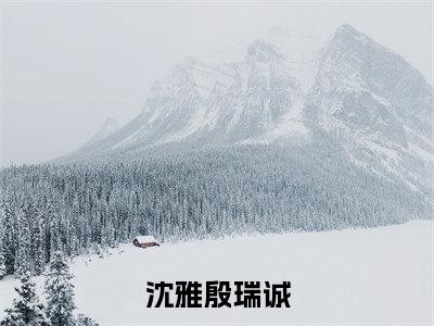 （殷瑞诚沈雅）是什么小说-沈雅殷瑞诚（殷瑞诚沈雅）免费阅读大结局最新章节列表_笔趣阁