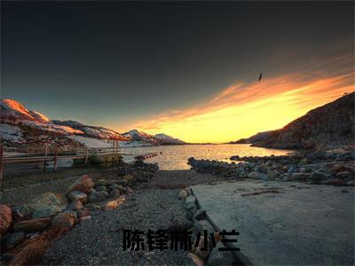  陈锋林小兰重回，徒手创建商业村全集陈峰林小兰全文免费阅读_（ 陈锋林小兰免费阅读无弹窗）重回，徒手创建商业村全集陈峰林小兰最新章节列表笔趣阁