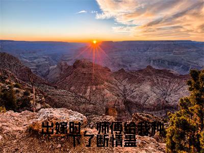 梦绾宁谢北宸(出嫁时,师傅给我种下了断情蛊)小说免费阅读_梦绾宁谢北宸精选小说全文阅读(出嫁时,师傅给我种下了断情蛊)