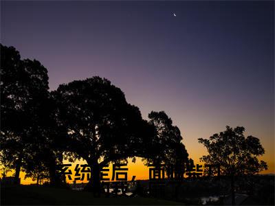 系统走后,面临柴刀的我人麻了(千凡星)高质量小说千凡星推荐阅读-系统走后,面临柴刀的我人麻了(千凡星)小说最新章节