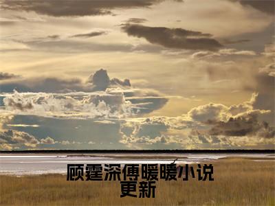 小说被逼替嫁，她捡漏了财阀大佬( 顾霆深傅暖暖)全文在线阅读无弹窗_小说被逼替嫁，她捡漏了财阀大佬小说全文大结局