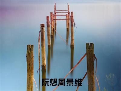 攀缠全文免费阅读_攀缠（ 阮想周景维免费阅读无弹窗） 阮想周景维最新章节列表笔趣阁