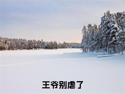 王爷别虐了，花魁她已有夫君了（ 宜宁琉璃）全文免费阅读无弹窗大结局_(王爷别虐了，花魁她已有夫君了阅读全文大结局) 宜宁琉璃最新章节列表（ 宜宁琉璃）
