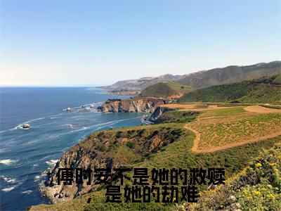 傅时安不是她的救赎，是她的劫难（江雨岚傅时安）全文免费阅读-傅时安不是她的救赎，是她的劫难（江雨岚傅时安）最新章节小说阅读
