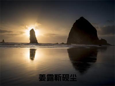 姜露靳砚尘(靳砚尘姜露)全文免费阅读无弹窗大结局_(姜露靳砚尘)最新章节列表_靳砚尘姜露