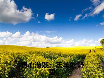 真心游戏：羔羊的野望全文（ 黎斯绮霍邵庭小说）全文免费阅读无弹窗大结局_真心游戏：羔羊的野望免费最新章节列表_笔趣阁（ 黎斯绮霍邵庭小说）