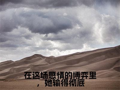 在这场感情的博弈里,她输得彻底(黛文雅岑靳洲)完结版小说-在这场感情的博弈里,她输得彻底小说全文免费阅读笔趣阁