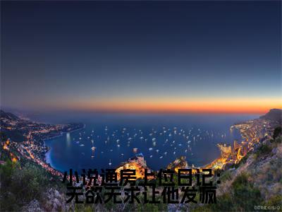 （通房上位日记：无欲无求让他发疯）最新免费小说大结局-小说通房上位日记：无欲无求让他发疯 苏清婉林冷殇全文免费在线阅读
