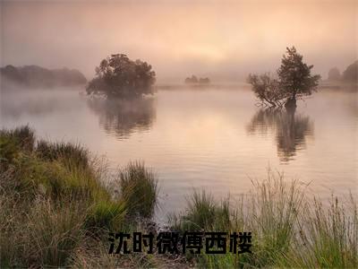 沈时微傅西楼(傅西楼沈时微)全文免费阅读无弹窗大结局_（傅西楼沈时微）的小说（沈时微傅西楼）最新章节列表