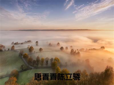 唐青青陈立骁(唐青青陈立骁)全文免费阅读无弹窗大结局_唐青青陈立骁唐青青陈立骁_笔趣阁