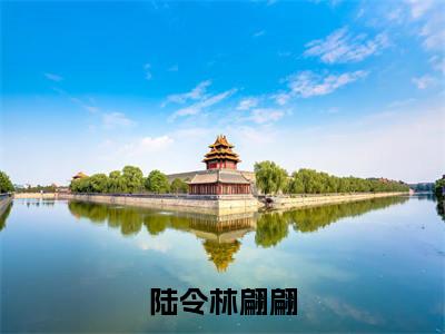 陆令林翩翩小说大结局免费阅读,林翩翩陆令抖音新上热文分享