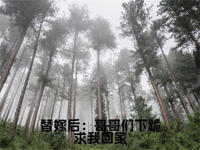 洛西凌秋寒 替嫁后：哥哥们下跪求我回家小说全文免费阅读_洛西凌秋寒 （替嫁后：哥哥们下跪求我回家）最新章节列表笔趣阁
