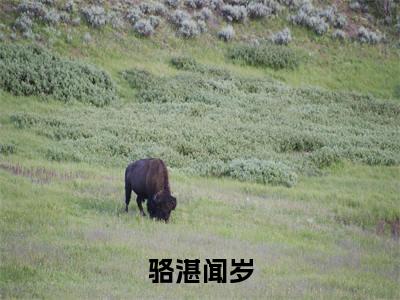 骆湛闻岁闻岁骆湛完整版全文在线赏析-闻岁骆湛全文在线阅读