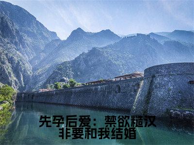  宋西棠霍见深全文（先孕后爱：禁欲糙汉非要和我结婚）全文免费阅读无弹窗大结局_ 宋西棠霍见深免费最新章节列表_笔趣阁（先孕后爱：禁欲糙汉非要和我结婚）