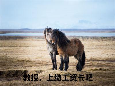 赵雪莹慕彦钦全文（教授，上缴工资卡吧）全文免费阅读无弹窗大结局_赵雪莹慕彦钦免费最新章节列表_笔趣阁（教授，上缴工资卡吧）