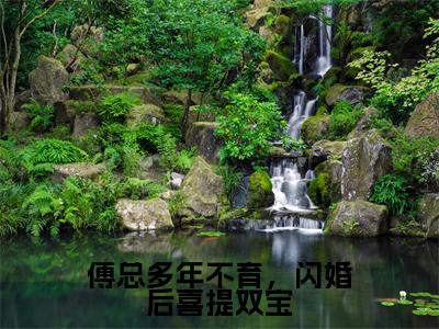小说傅总多年不育,闪婚后喜提双宝(司颜傅厉行)免费阅读-小说傅总多年不育,闪婚后喜提双宝全文在线赏析