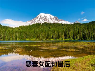  姜软软冷久泽（恶毒女配知错后，每天都在洗白）全文免费阅读无弹窗大结局_ 姜软软冷久泽在线阅读（恶毒女配知错后，每天都在洗白）