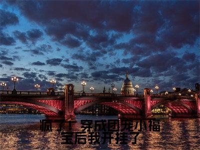疯了!穿成团宠小福宝后我开挂了免费阅读全文免费阅读无弹窗大结局_ (慕来来小说免费阅读)疯了!穿成团宠小福宝后我开挂了最新章节阅读