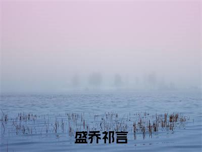 全章节完整《盛乔祁言》全文阅读《祁言盛乔》
