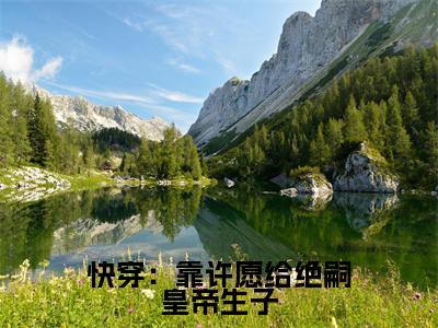 快穿：靠许愿给绝嗣皇帝生子( 沈嘉禾李云铮)小说全文免费阅读无弹窗大结局_快穿：靠许愿给绝嗣皇帝生子最新章节列表