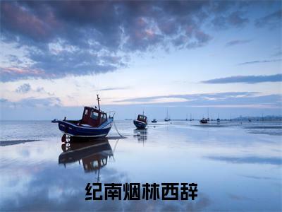 纪南烟林西辞（林西辞纪南烟）全文免费阅读_纪南烟林西辞（林西辞纪南烟）最新章节小说免费阅读