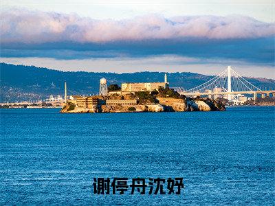 谢停舟沈妤小说最新章节阅读-小说谢停舟沈妤（沈妤谢停舟）已完结小说精彩大结局