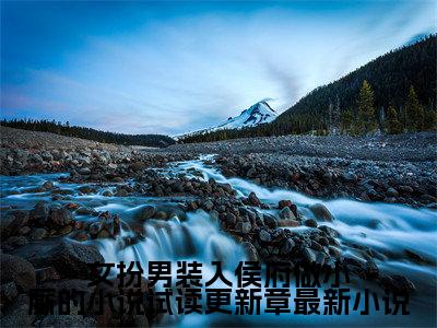  林霜儿夜北承全文免费在线阅读_（女扮男装入侯府做小厮的小说试读更新章全文免费阅读无弹窗大结局）
