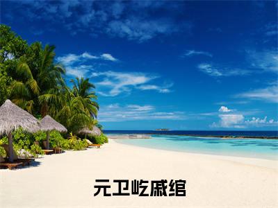 元卫屹戚绾(元卫屹戚绾)全文免费阅读无弹窗大结局_(元卫屹戚绾无弹窗)_笔趣阁