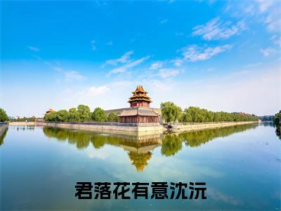 君落花有意沈沅免费小说-君落花有意沈沅完结版在线阅读