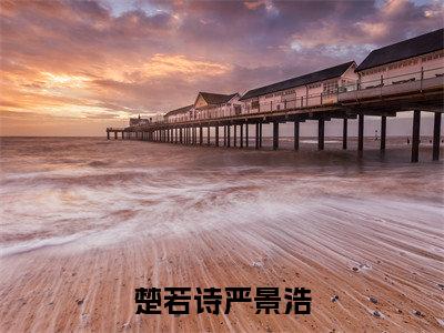 严景浩楚若诗(楚若诗严景浩)小说全文免费阅读-严景浩楚若诗免费阅读完整版